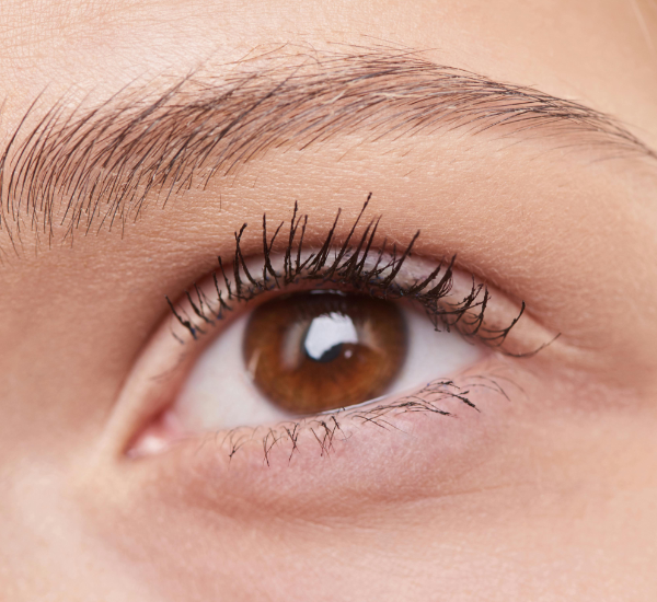 Augenbrauen & Microblading